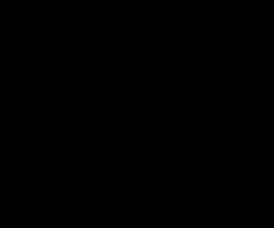 مادربزرگ فرانسوی