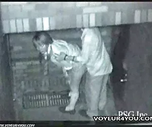 دو زوج شبانه در خارج از خانه رابطه جنسی برقرار می کنند