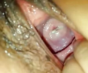 گربه ای با فاصله زیاد