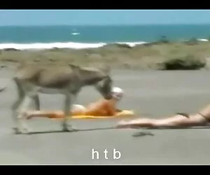 سرگرم کننده 4. htb