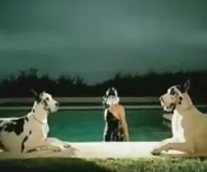 لیدی گاگا