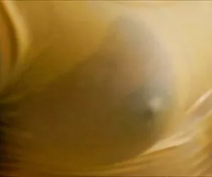 هود در لباس خیس