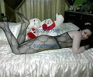 اسکندریه و الغربیه اداری