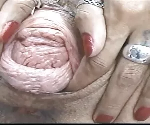 آن گربه منهتن را خورد!